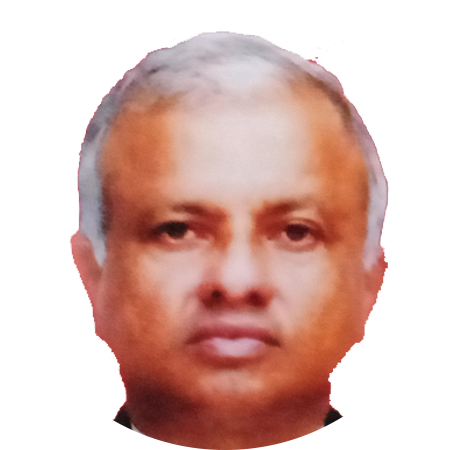 Committee Member