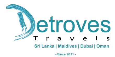 DETROVES TRAVELS (PVT) LTD Logo