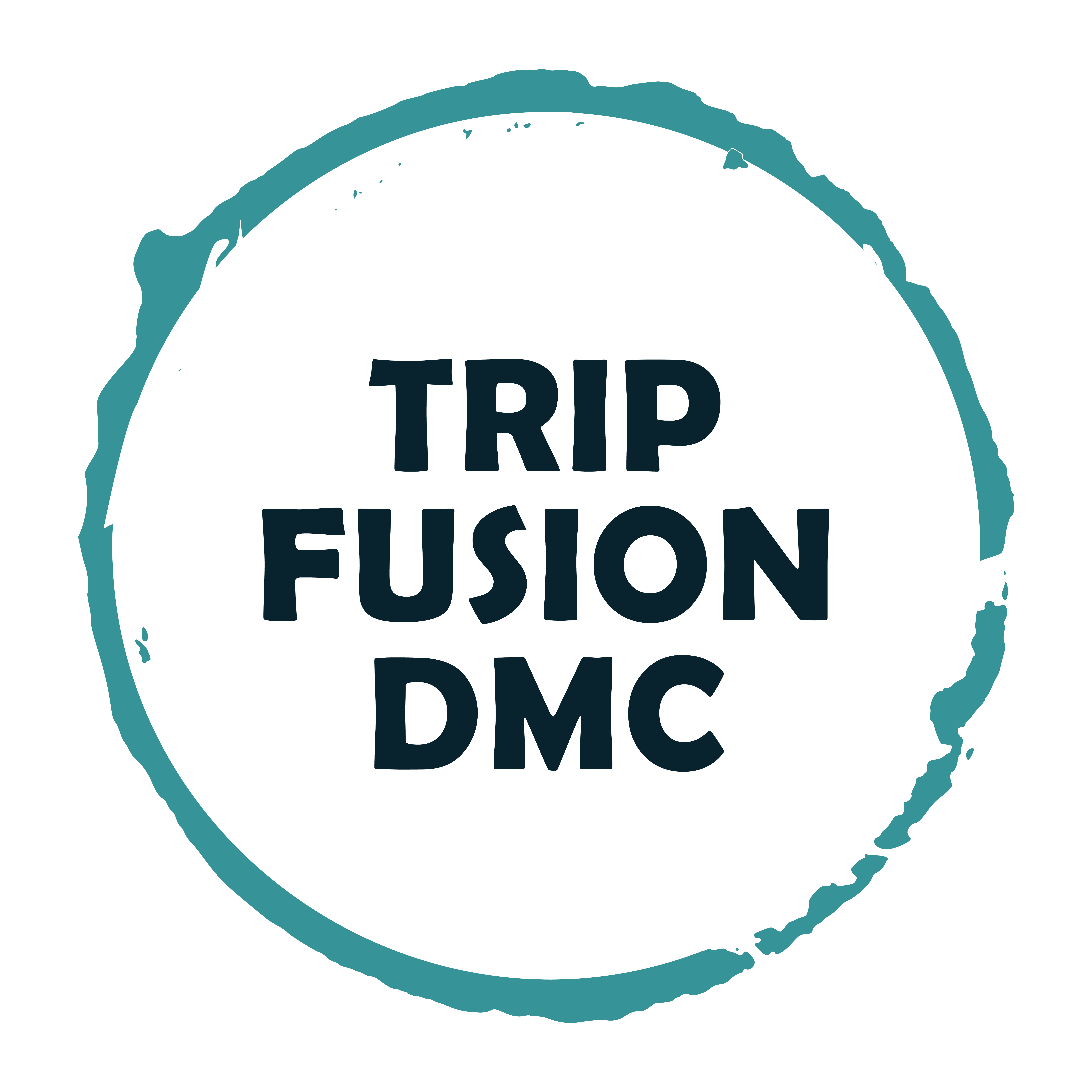 TRIPFUSION (PVT) LTD Logo